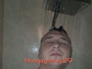 Hotgaysexy29
