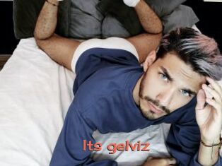 Its_gelviz