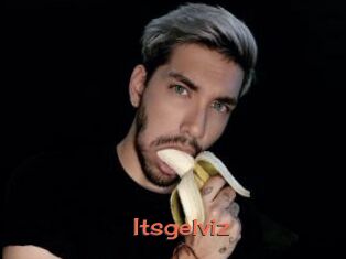 Itsgelviz