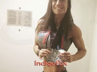 Indigofox