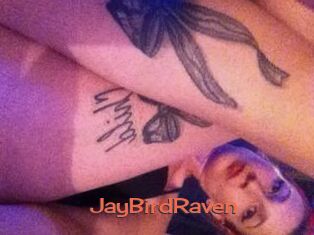 JayBirdRaven