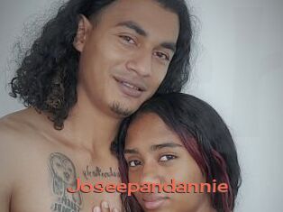 Joseepandannie