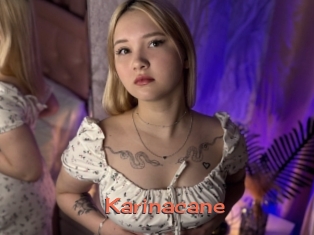 Karinacane