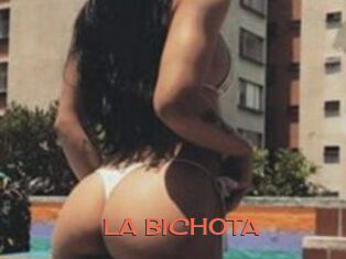 LA_BICHOTA