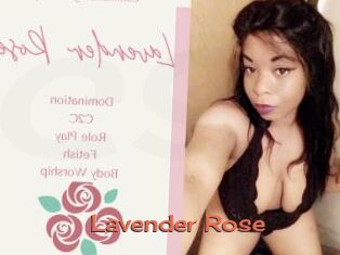 Lavender_Rose