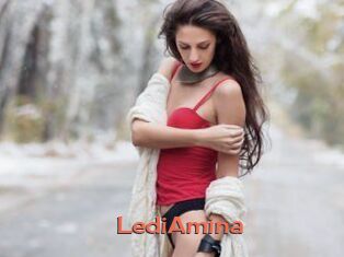 LediAmina