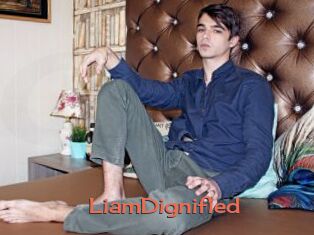 LiamDignified