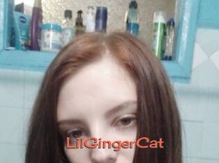 LilGingerCat