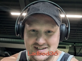 Ladbod36