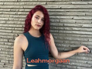 Leahmorgaan