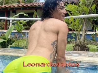 Leonardosantos
