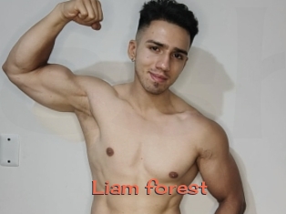 Liam_forest