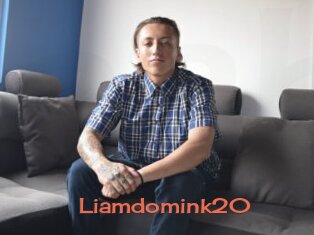 Liamdomink20