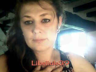 Libellule39