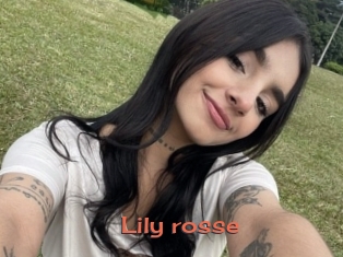 Lily_rosse