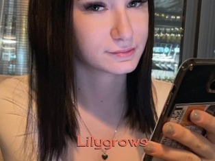 Lilygrows