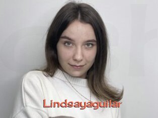 Lindsayaguilar