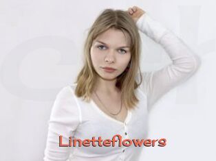 Linetteflowers