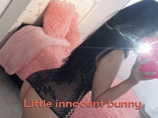 Little_innocent_bunny