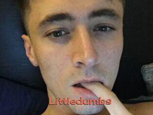 Littledumbs