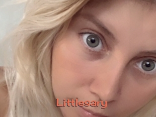 Littlesary