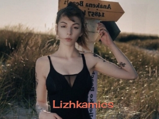 Lizhkamics