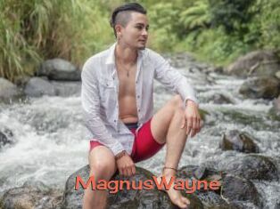 MagnusWayne