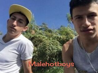 Malehotboys