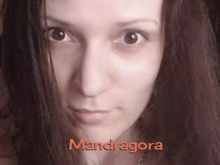 Mandragora