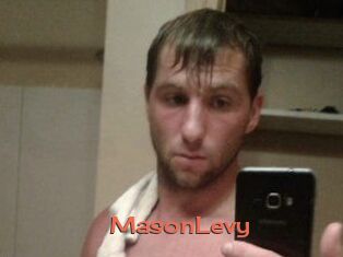 Mason_Levy