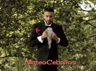 MateoCeballos