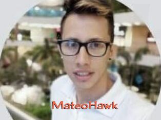 MateoHawk
