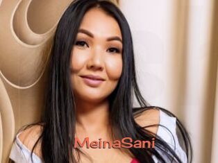 MeinaSani