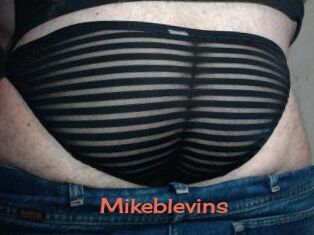 Mikeblevins