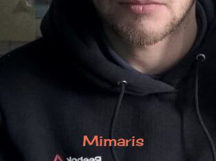 Mimaris