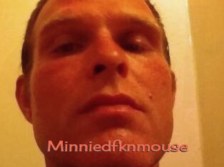 Minniedfknmouse