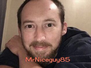 MrNiceguy85