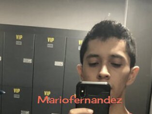 Mariofernandez