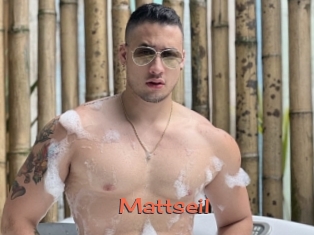 Mattseil