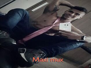 Maxi_mux