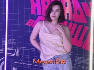 Meganfelt