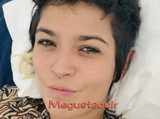 Megustacuir