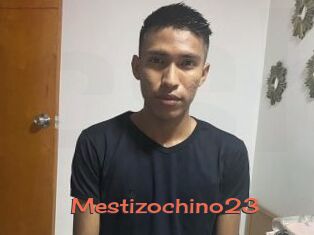 Mestizochino23