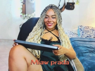 Miaw_prada