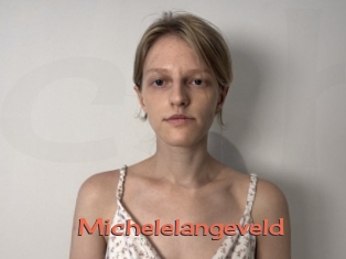 Michelelangeveld