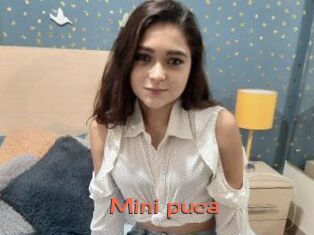 Mini_puca