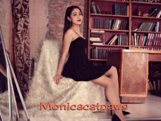 Monicacatpaws