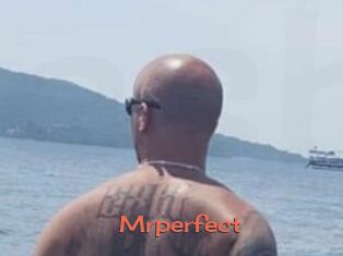Mrperfect