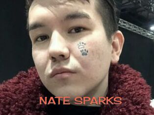 NATE_SPARKS