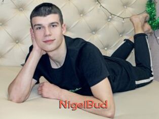 NigelBud